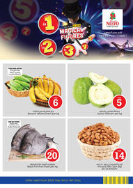 Nesto catalogue Page 1