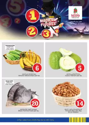 Nesto catalogue (valid until 4-05)