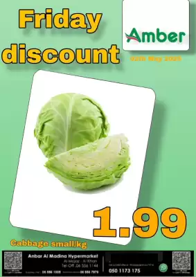 Amber catalogue (valid until 2-05)
