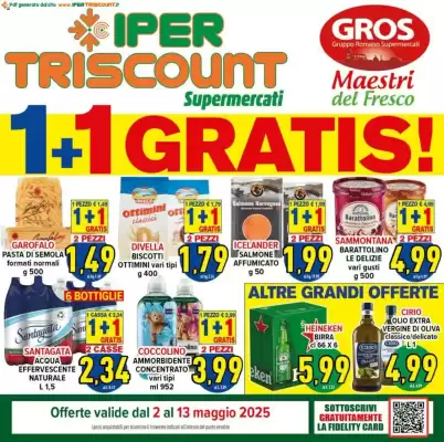 Volantino Iper Triscount (valido fino al 13-05)