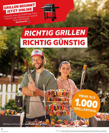 Kaufland Prospekt woche 18 Seite 32