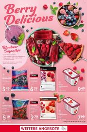 Selgros Prospekt woche 19 Seite 31