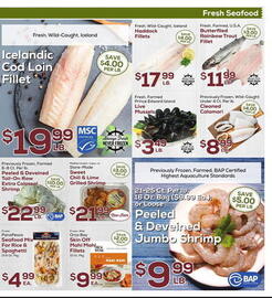 DeCicco & Sons Weekly Ad week 18 Page 5