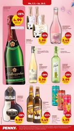 PENNY Prospekt woche 19 Seite 16
