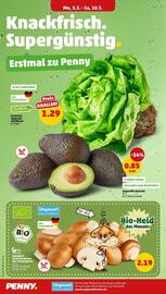 PENNY Prospekt woche 19 Seite 2