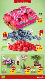 PENNY Prospekt woche 19 Seite 3