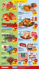 PENNY Prospekt woche 19 Seite 30