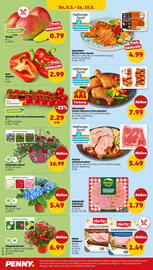 PENNY Prospekt woche 19 Seite 30