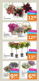 Albert Heijn folder week 19 Pagina 33