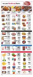 ShopRite Weekly Ad week 19 Page 4