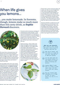Tui leaflet Page 61