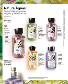 Catálogo Natura Página 350