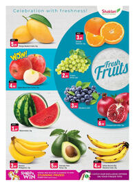 Shaklan catalogue Page 3
