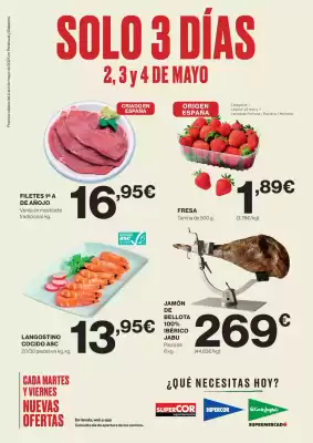 Folleto El Corte Inglés (válido hasta el 4-05)