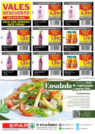 Folleto SPAR Página 12