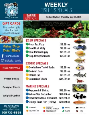 Big Al&#x27;s Pets flyer (valid until 8-05)