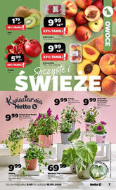 Netto gazetka tydzień 19 Strona 7