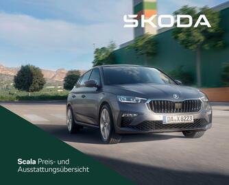 Skoda Prospekt Seite 1