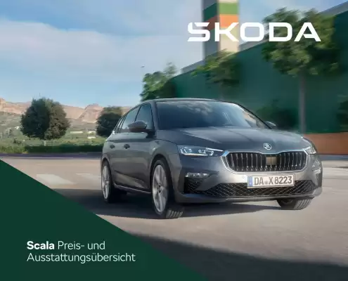 Skoda Prospekt (gültig bis 31-10)