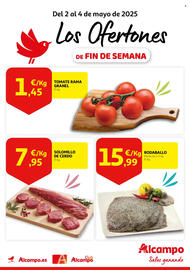 Folleto Alcampo Página 1