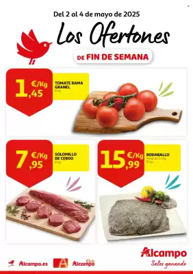 Folleto Alcampo (válido hasta el 4-05)