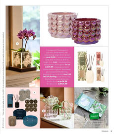 Intratuin folder Pagina 5