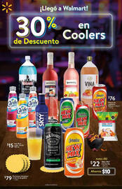 Catálogo Walmart Página 13