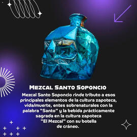 Catálogo Bodegas Alianza Página 11