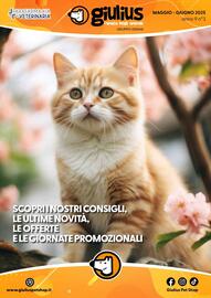 Volantino Giulius Pagina 1