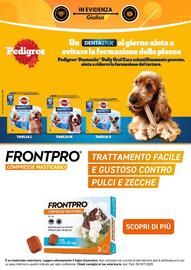 Volantino Giulius Pagina 7