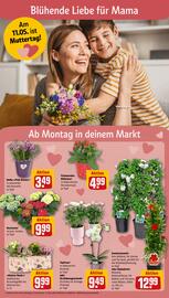 REWE Prospekt woche 19 Seite 16