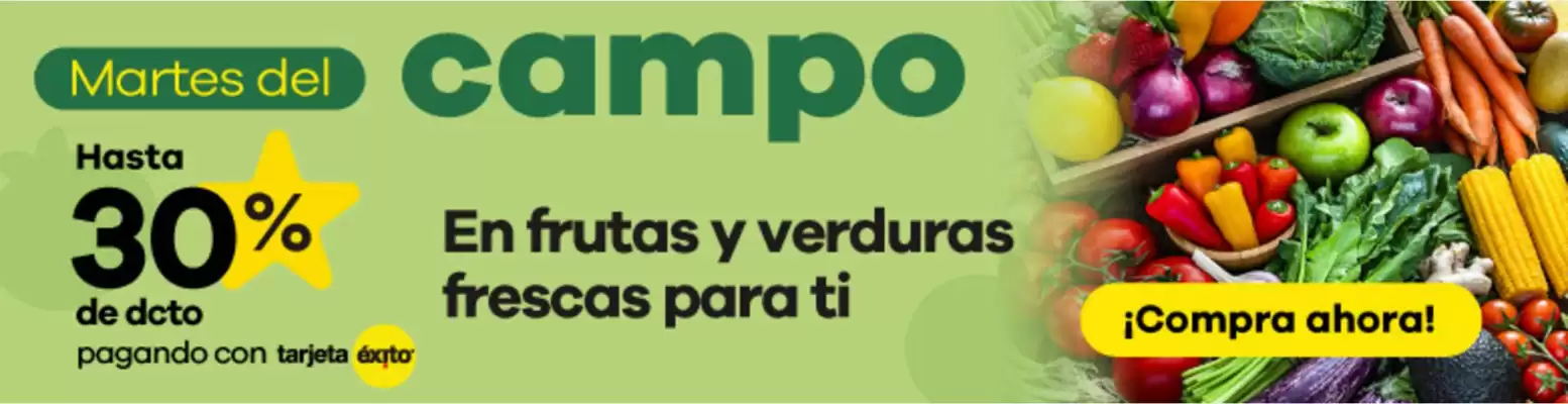 Catálogo Éxito (válido hasta 10-05)