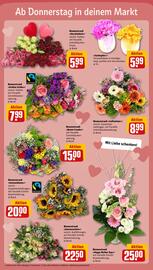 REWE City Prospekt woche 19 Seite 17