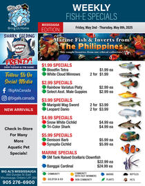 Big Al's Pets flyer week 18 Page 1