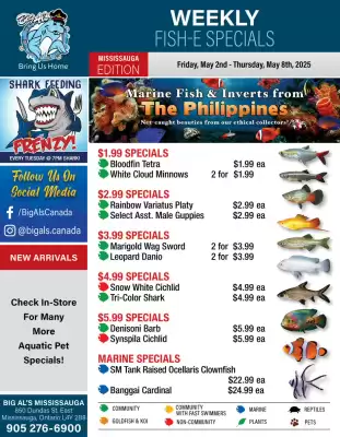 Big Al&#x27;s Pets flyer (valid until 8-05)