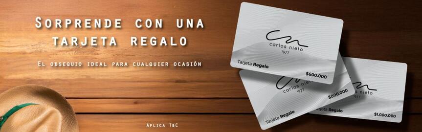 Catálogo Carlos Nieto Página 1