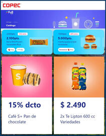 Catálogo Copec Página 5