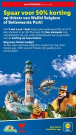 Lidl folder week 19 Pagina 11