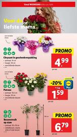 Lidl folder week 19 Pagina 29