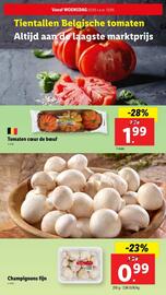 Lidl folder week 19 Pagina 4