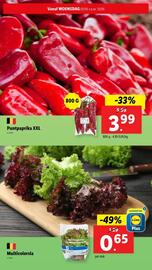 Lidl folder week 19 Pagina 5