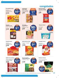 Catálogo Comercial Zaffari Página 13
