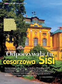 Dbam o Zdrowie gazetka Strona 94