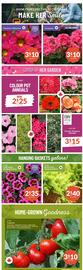 Lakeside Garden Gallery flyer week 18 Page 1
