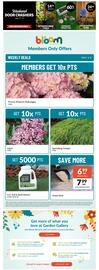 Lakeside Garden Gallery flyer week 18 Page 4