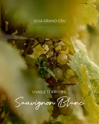 Catálogo Grand Cru (válido até 30-05)