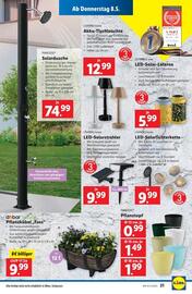 Lidl Flugblatt woche 19 Seite 24