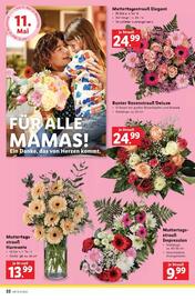 Lidl Flugblatt woche 19 Seite 25