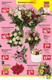 Lidl Flugblatt woche 19 Seite 26