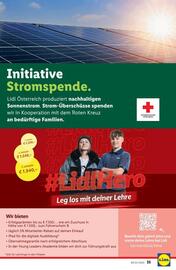 Lidl Flugblatt woche 19 Seite 40